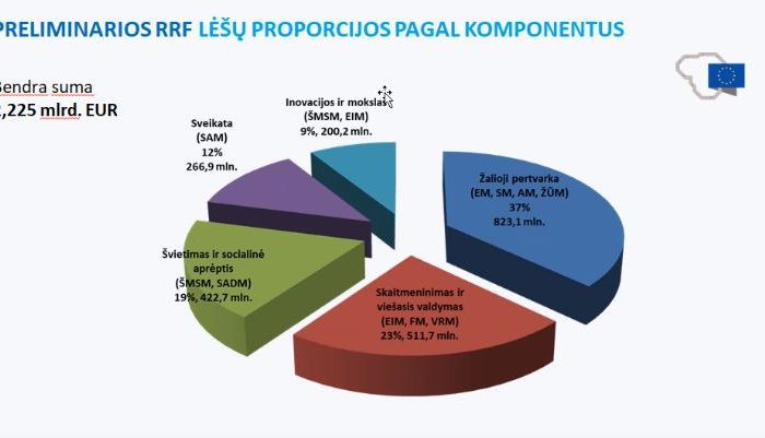 Apie RRF planą iš „paukščio skrydžio”